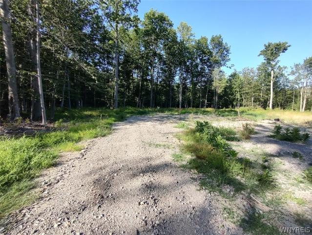 Land for sale in Angola, New York