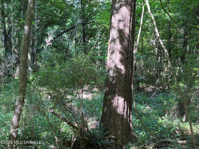 Land for sale in Roxie, Mississippi