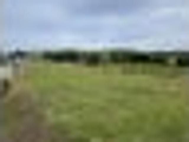 Land for sale in Longwood, Southland