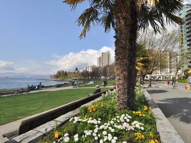 Apartment for rent in Vancouver, British Columbia