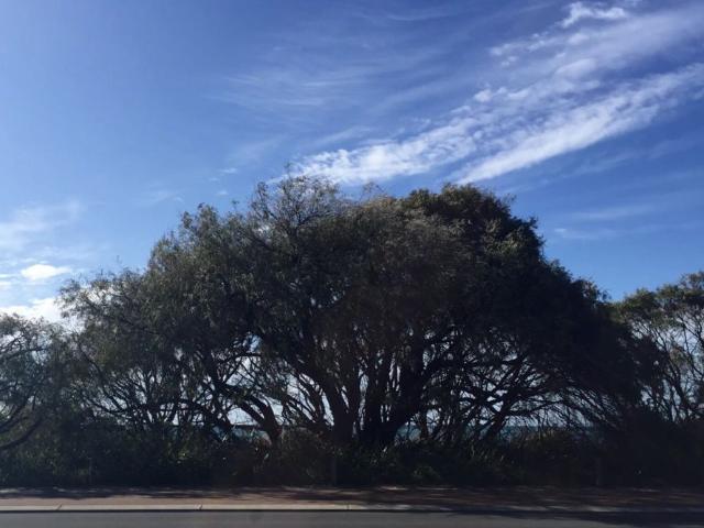 House for rent in Bovell, Western Australia