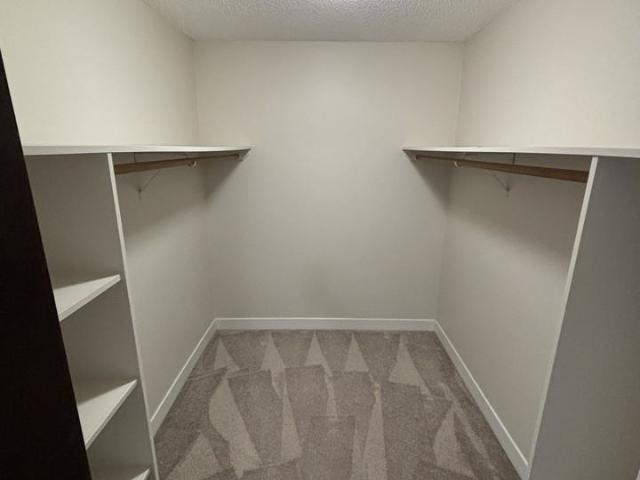 Apartment for rent in Tsawwassen, Delta