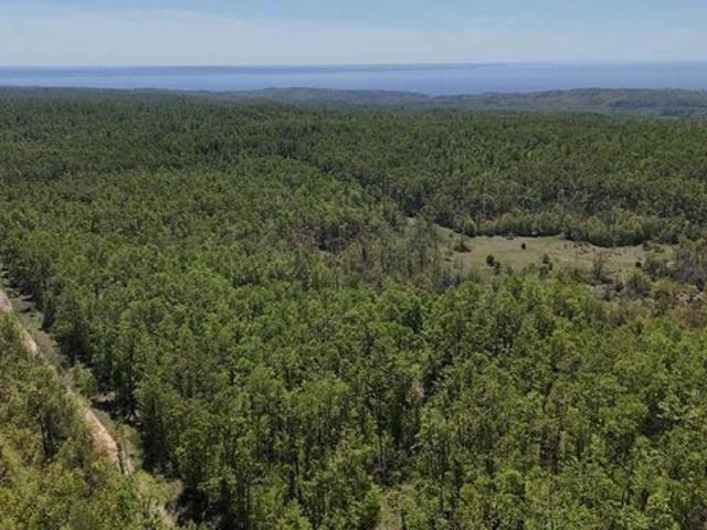 Land for sale in Harbor Springs, Michigan