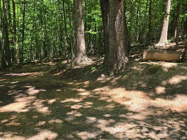 Land for sale in Culpeper, Madison County