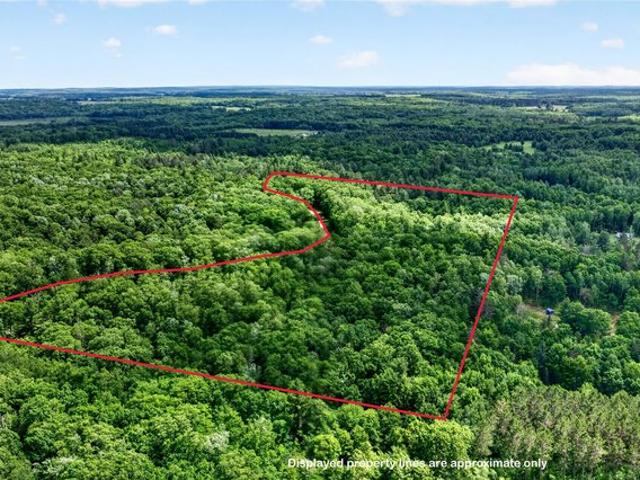 Land for sale in Springbrook, Wisconsin