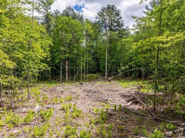 Land for sale in New Hampshire