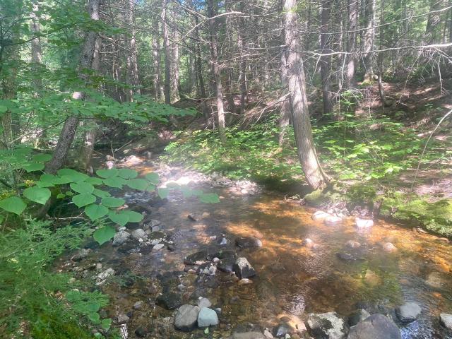 Land for sale in New Hampshire