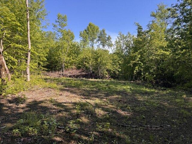 Land for sale in New Sharon, Maine