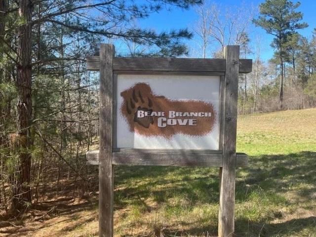 Land for sale in Arley, Alabama