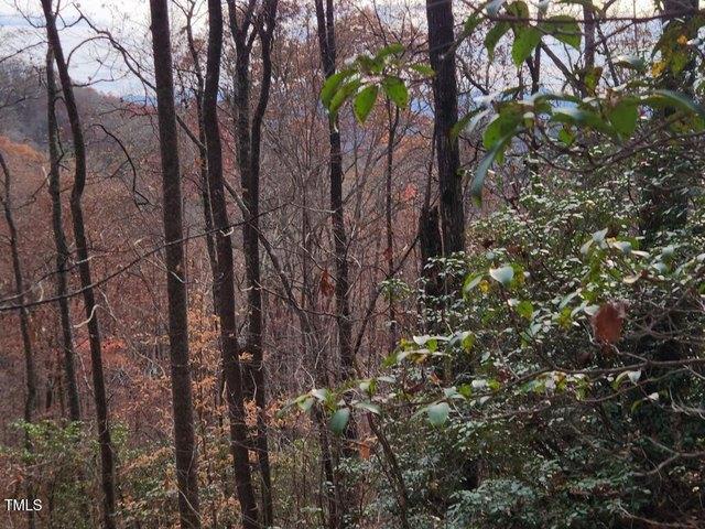 Land for sale in Bryson City, North Carolina