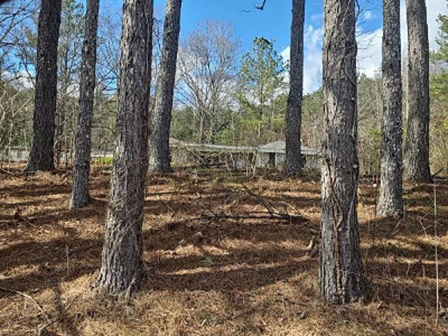 House for sale in Chelsea, Alabama