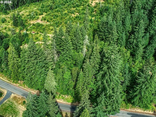 Land for sale in Carson, Washington