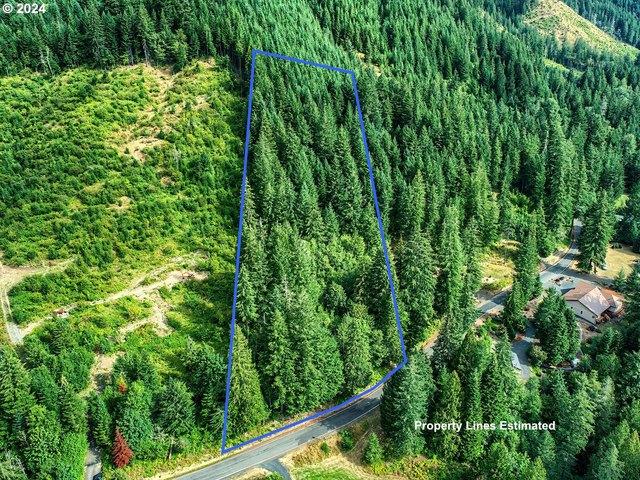 Land for sale in Carson, Washington