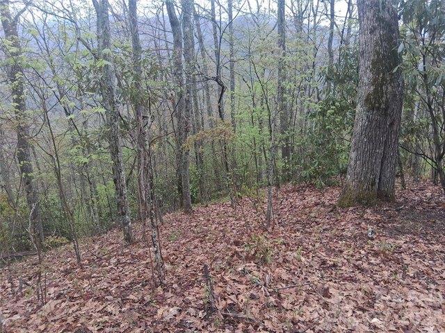 Land for sale in Haywood, North Carolina