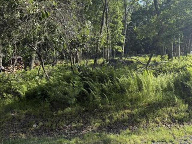 Land for sale in Dingmans Ferry, Pennsylvania