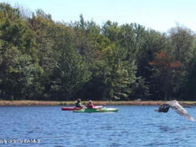 Land for sale in Newfoundland, Pennsylvania