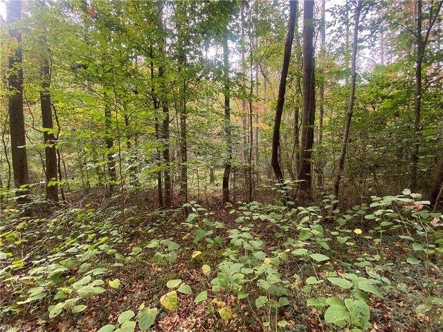 Land for sale in Millers Creek, North Carolina