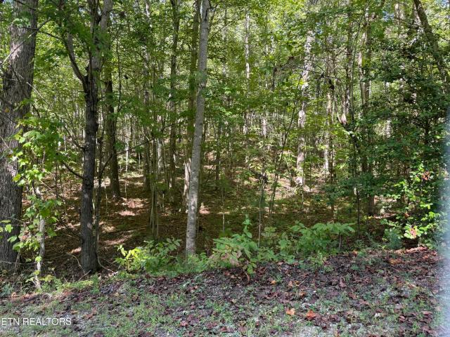 Land for sale in Oneida, East Tennessee