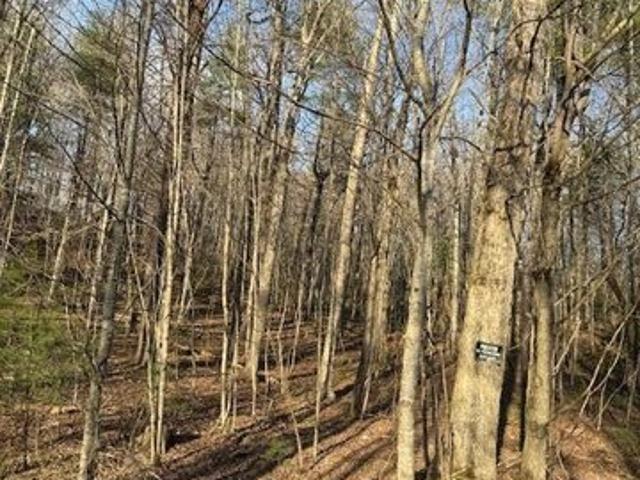 Land for sale in Tennessee