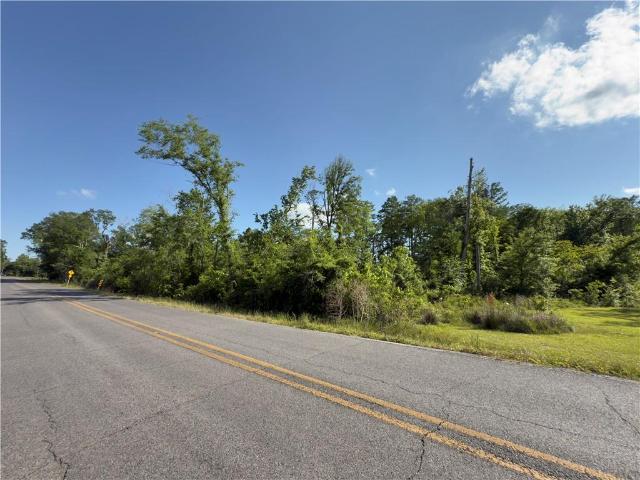 Land for sale in Maurepas, Louisiana