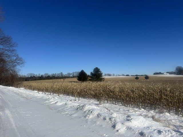 Land for sale in Manawa, Wisconsin
