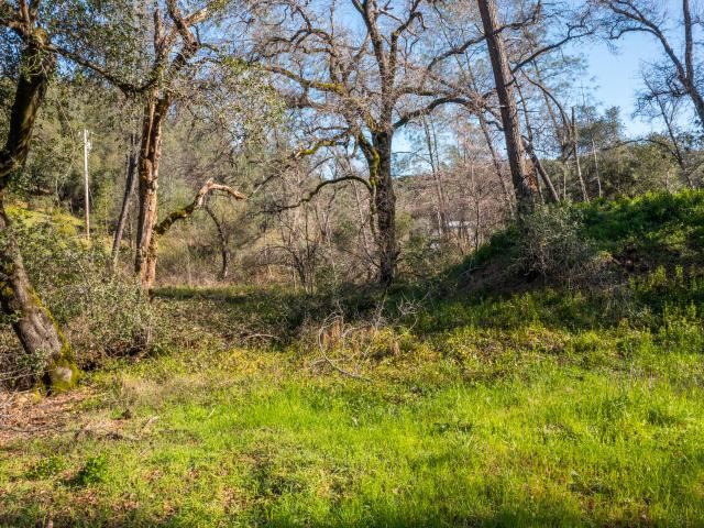 Land for sale in Sherman, Redding