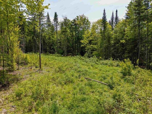 Land for sale in New Hampshire