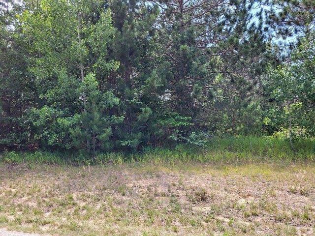 Land for sale in Vanderbilt, Michigan