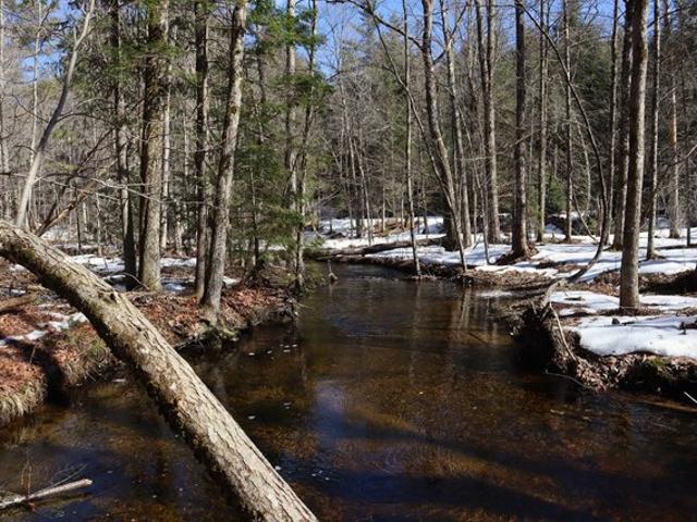 Land for sale in Athol, New York