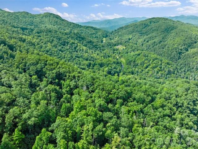 Land for sale in Marshall, North Carolina
