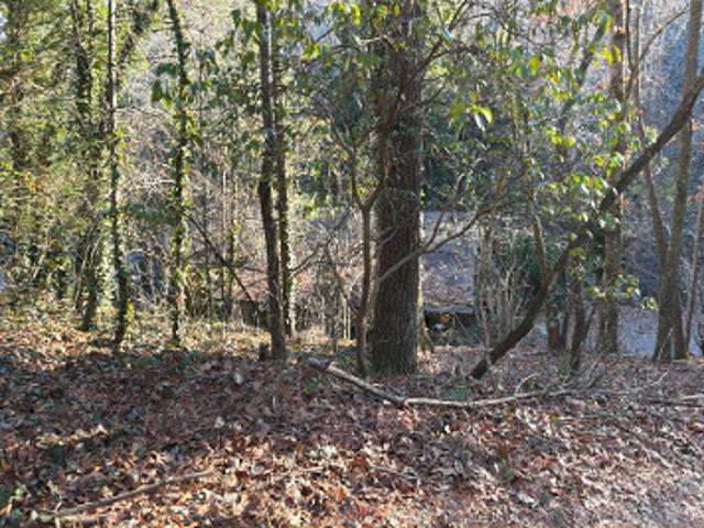 House for sale in Gilmer, Georgia