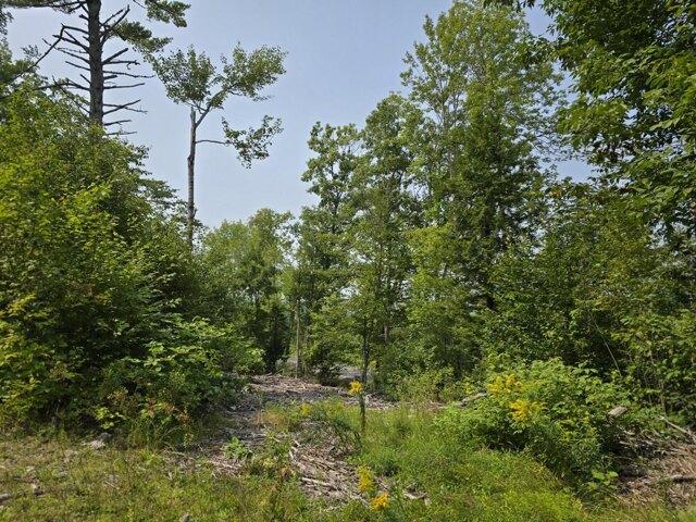 Land for sale in Barnard Township, Sebec