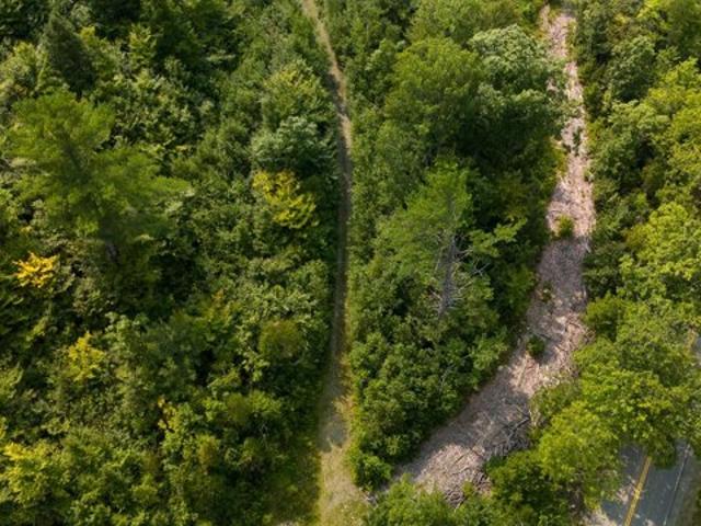 Land for sale in Barnard Township, Sebec