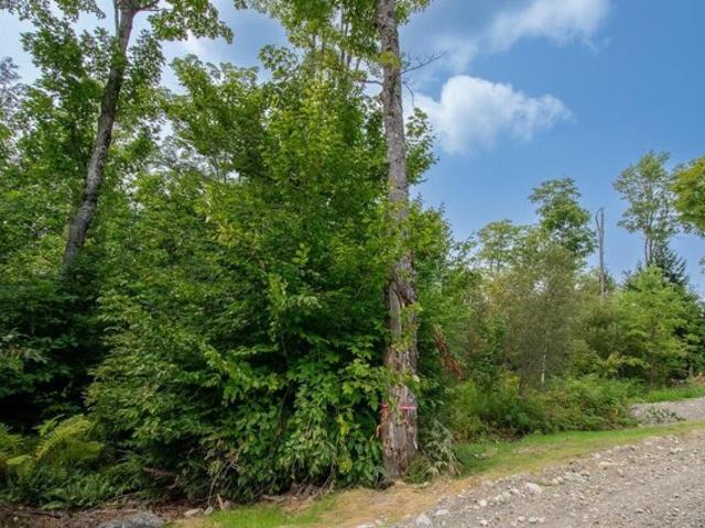 Land for sale in Sebec, Maine