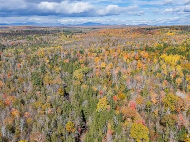 Land for sale in Barnard Township, Sebec