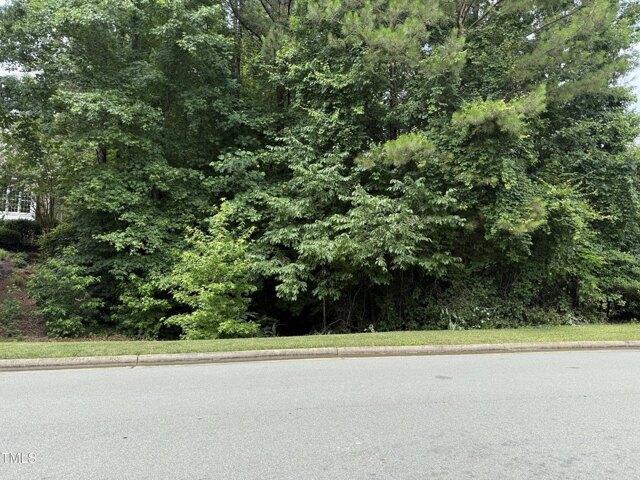 Land for sale in Chapel Hill Land for sale in Chapel Hill