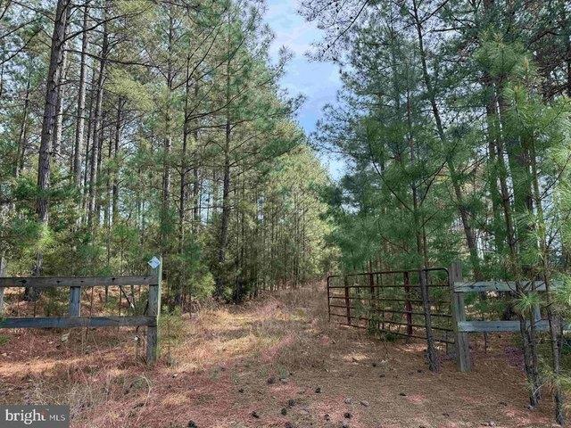 Land for sale in Virginia