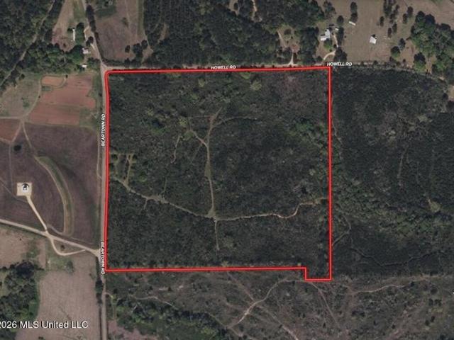 Land for sale in Jayess, Mississippi