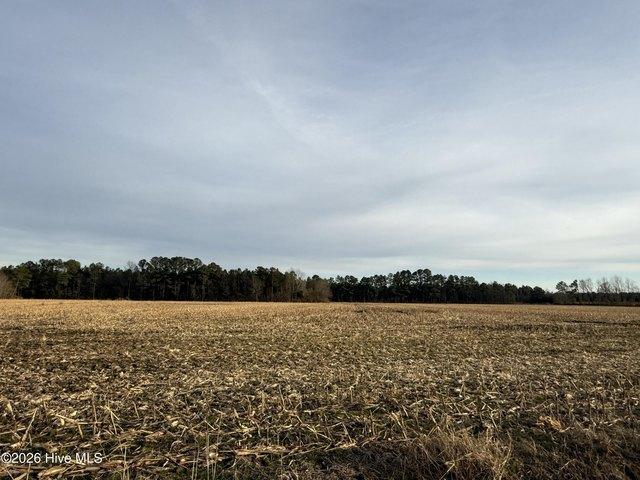 Land for sale in Roper, North Carolina