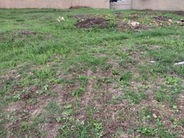 Land for sale in Cape St Francis, Eastern Cape