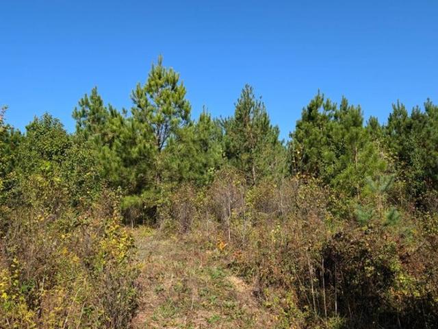 Land for sale in Waverly, Ohio