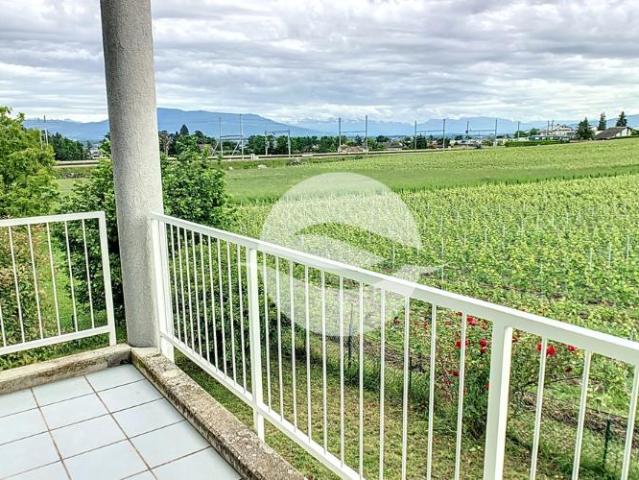 Apartment mieten in Coppet, Waadt