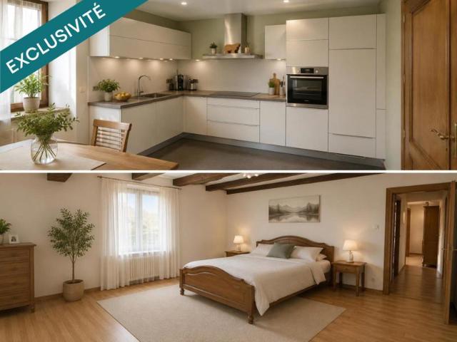 Maison vente à Mulhouse, Koetzingue