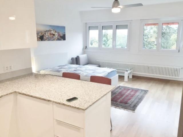 Studio mieten in Versoix