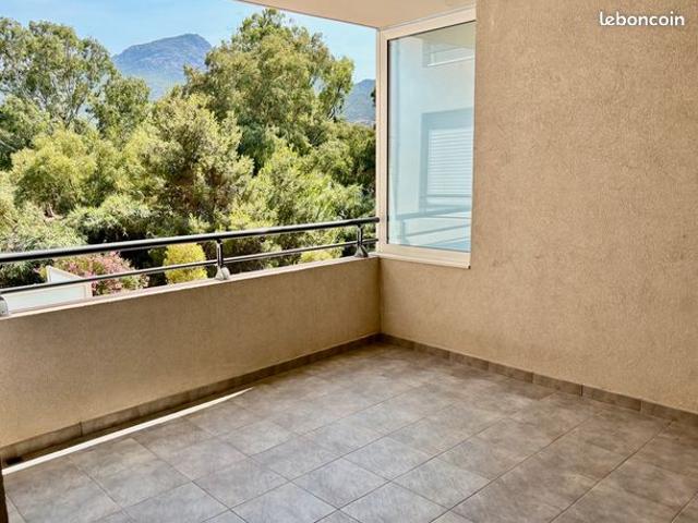 Appartement vente à Calvi