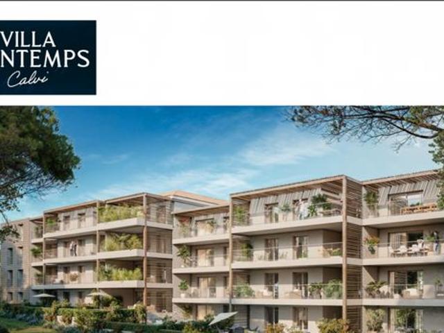 Appartement vente à Calvi