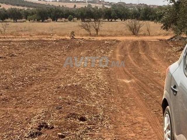 Propriété vente à Berkane