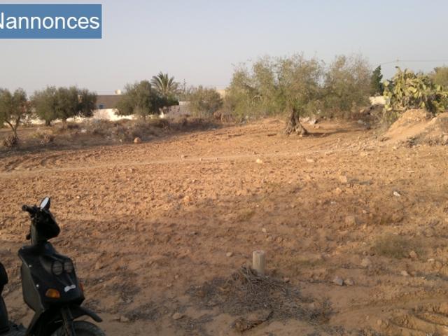 Terrain location