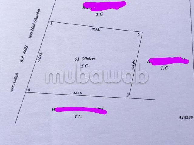 Terrain vente à Asilah, Tanger-Tétouan