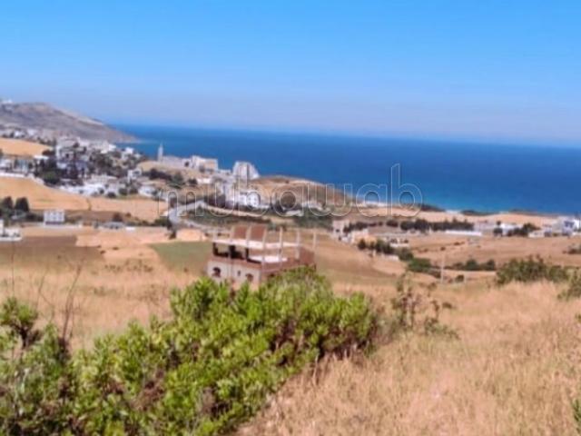 Terrain vente à El Fahs, Tanger-Tétouan